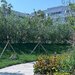Mall Colosseum, 2 camere decomandat + gradina proprie +loc parcare.