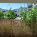 Mall Colosseum, 2 camere decomandat + gradina proprie +loc parcare.